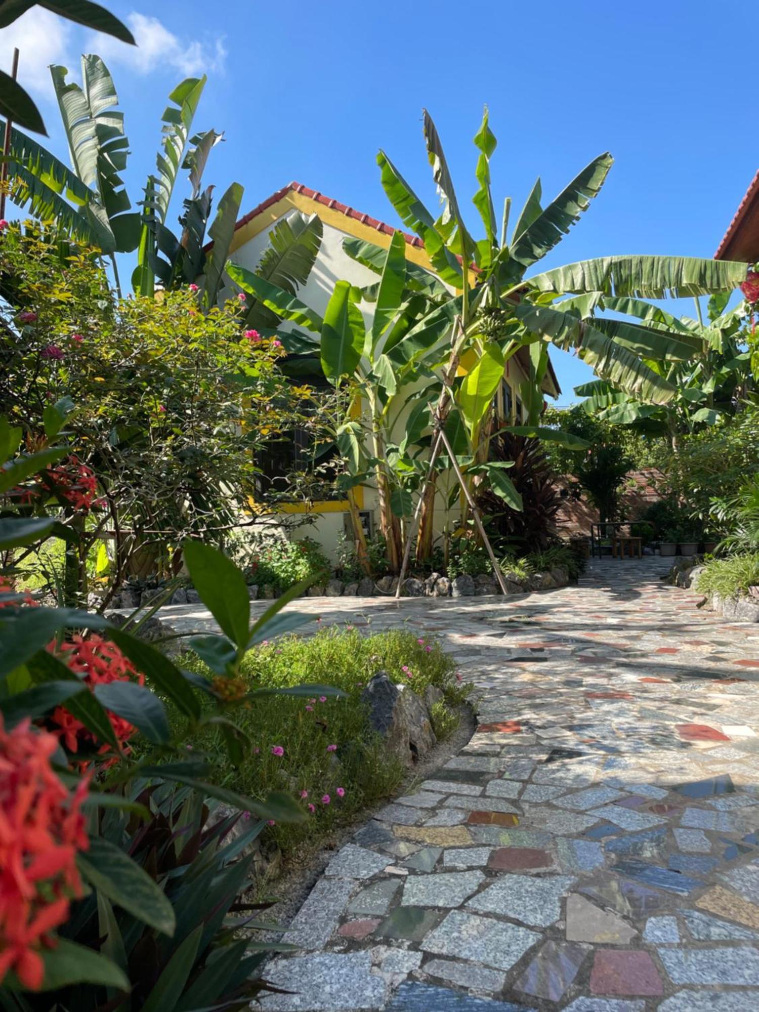 Ninh Binh Royal Homestay Экстерьер фото