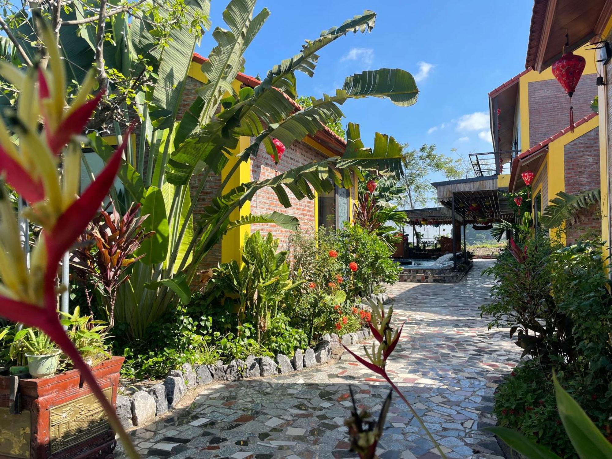 Ninh Binh Royal Homestay Экстерьер фото